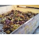 Cotes Du Jura Vin De Paille