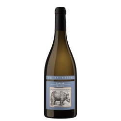 Sauvignon Langhe Bianco DOC
