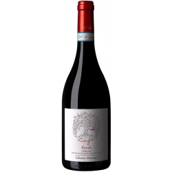 Syrah Cortona DOC Linfa