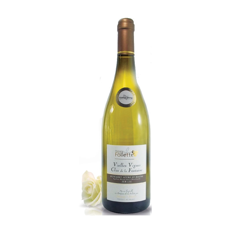Muscadet Vieilles et Maine Center Wine AOP - 2022 Sèvre Vignes Enotop