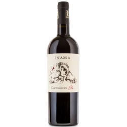 Carmenere Più Veneto IGT