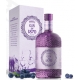 Gin 1870 Premium Blueberry Dry - Distilleria Bertagnolli