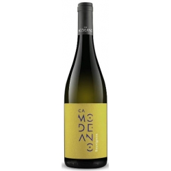 Sauvignon Friuli DOC