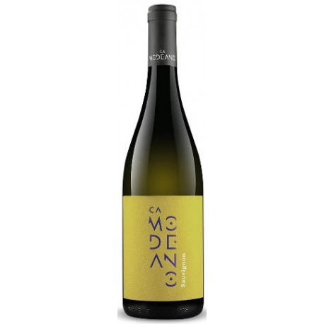 Sauvignon Friuli DOC