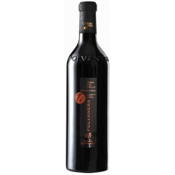 Primitivo DOC Gioia del Colle 17