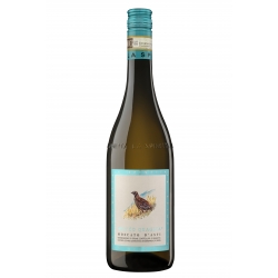 Moscato d'Asti DOCG Bricco Quaglia