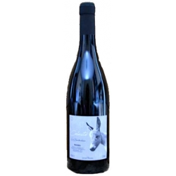 Moscato Secco Celeste
