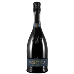 Franciacorta Brut DOCG Millesimato