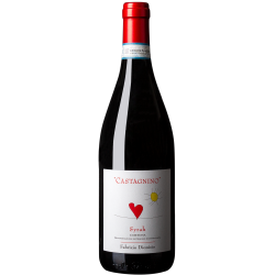 Syrah Cortona DOC Castagnino