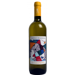 Il Campetto Pinot Nero vinificato in bianco Provincia di Pavia IGT 2025