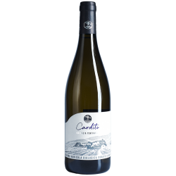 Malvasia Puntinata Lazio IGP Cardito